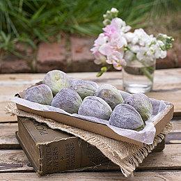 《JOJO的奇妙冒险：群星之战R》一代JOJO预告片